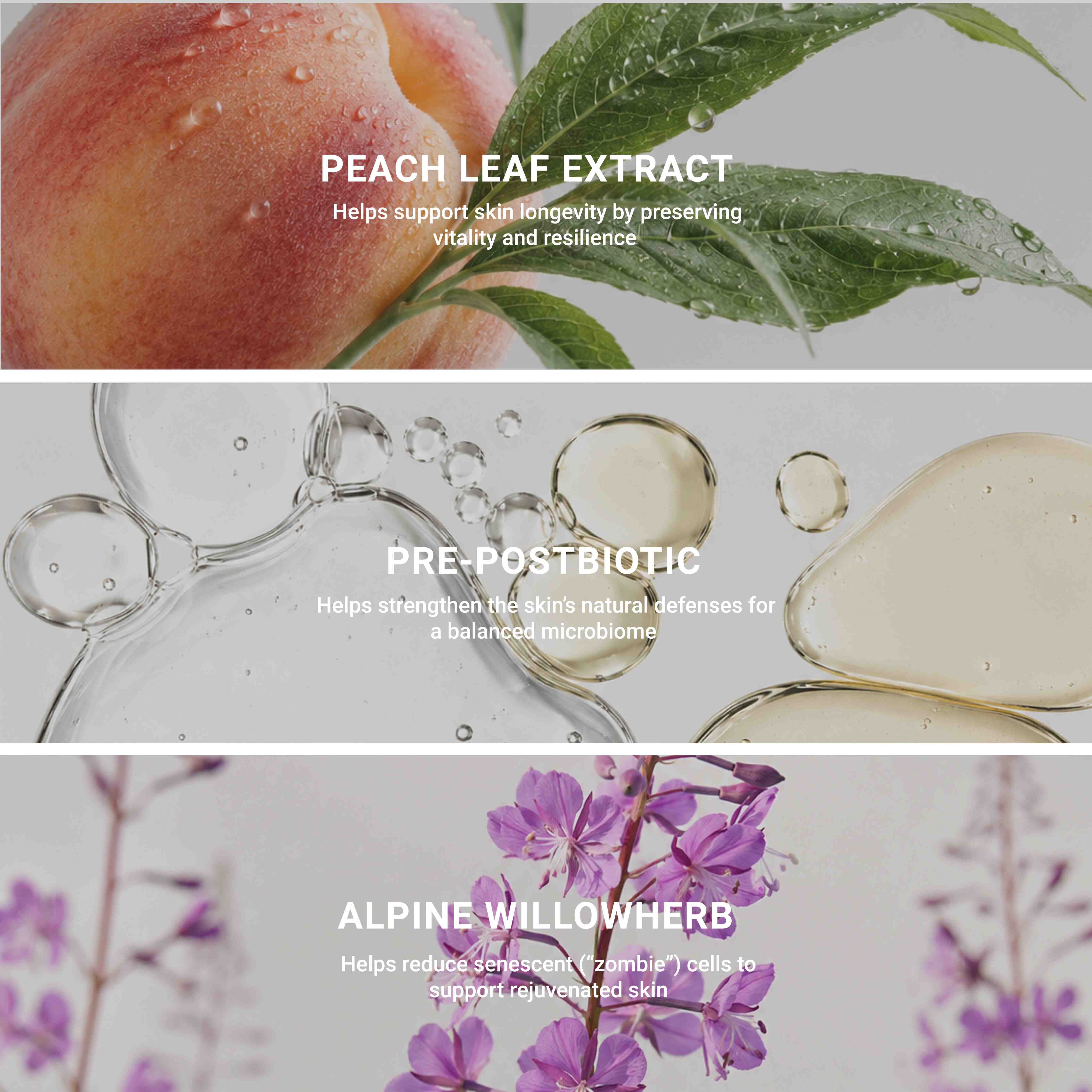 Le Sérum – Excellence Code